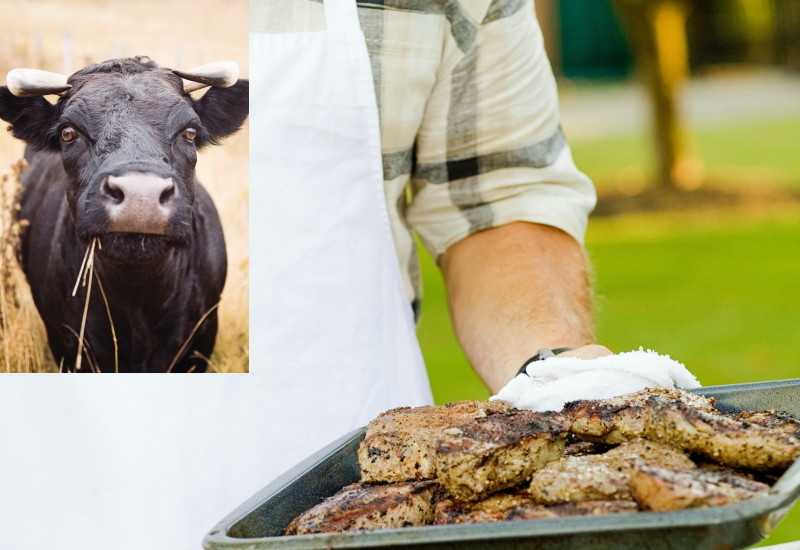 輸入牛肉の安全性って